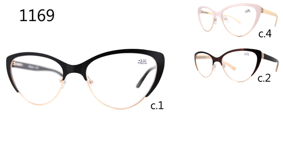 Vision 1169