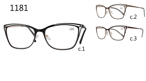 Vision 1181