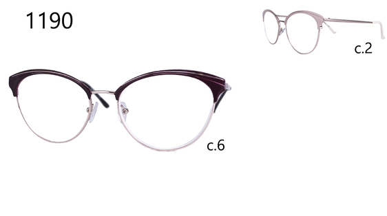 Vision 1190