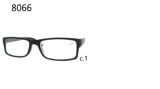 Vision 8066